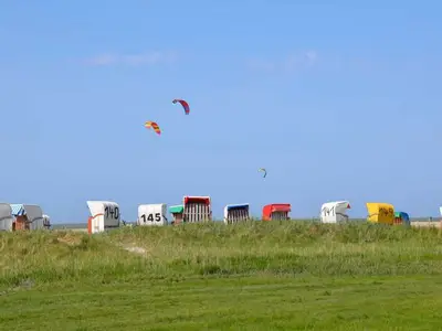 Ferienhaus für 7 Personen (85 m²) in Hooksiel 3/10