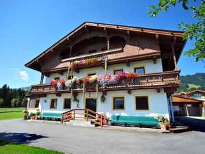 Ferienhaus für 5 Personen (20 m²) in Hopfgarten im Brixental