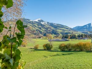 23896235-Ferienhaus-13-Hopfgarten im Brixental-300x225-3