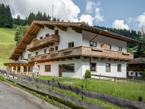 Ferienhaus für 47 Personen (500 m²) in Hopfgarten im Brixental