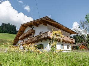 Ferienhaus für 26 Personen (500 m²) in Hopfgarten im Brixental