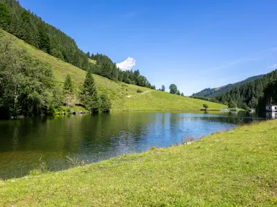 Aussicht vom Ferienhaus [Sommer]