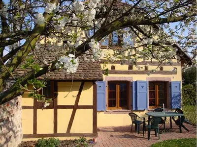 das Haus im Frühling
