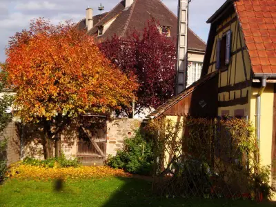 der Garten im Spätjahr