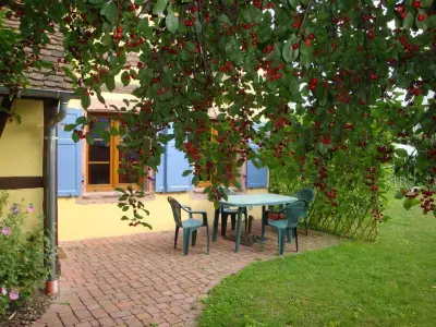 Im Sommer unter dem Sauerkirschenbaum