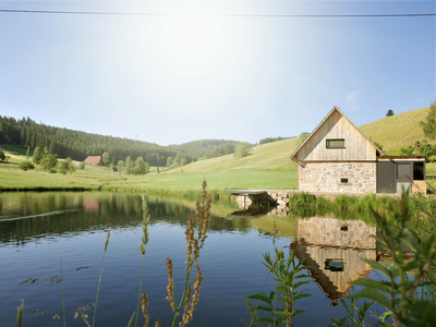 Ferienhaus für 4 Personen (100 m²) in Hornberg 1/10