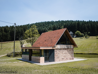 Ferienhaus für 4 Personen (100 m²) in Hornberg 2/10