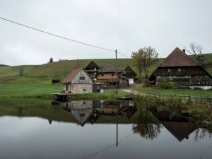 23909723-Ferienhaus-7-Hornberg-300x225-4