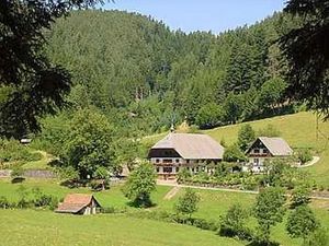 23873795-Ferienhaus-4-Hornberg-300x225-1