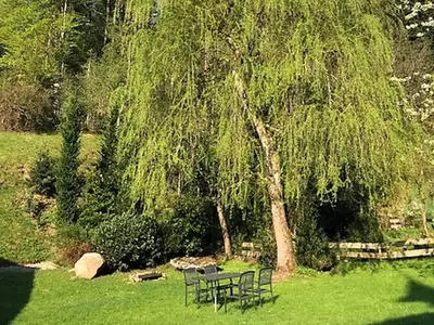 Ferienhaus für 4 Personen (70 m²) in Hornberg 5/10