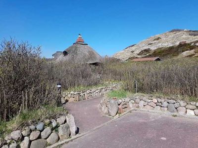 Ferienhaus für 4 Personen (50 m²) in Hörnum (Sylt) 1/10