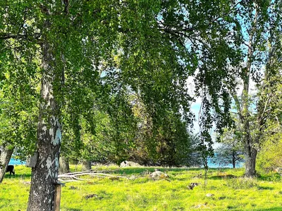 Outdoor