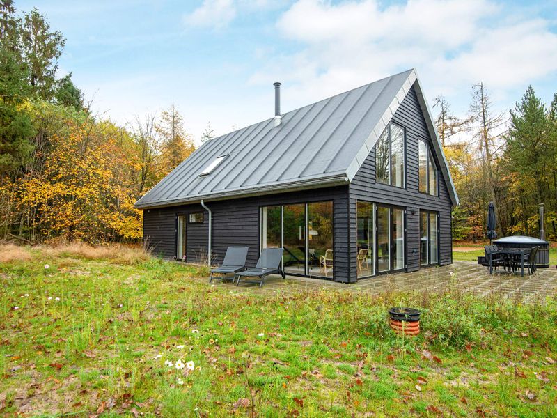 23465361-Ferienhaus-6-Hovborg-800x600-0