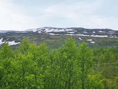 view-from-room