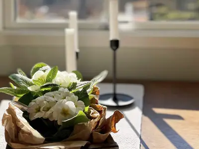 Indoor