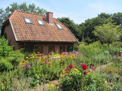 Bauerngarten im Sommer