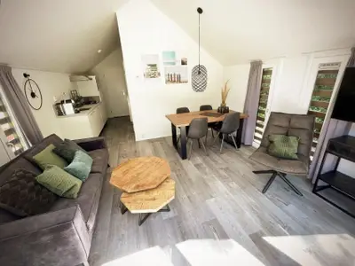 Ferienhaus für 4 Personen (45 m²) in Hulshorst 5/10
