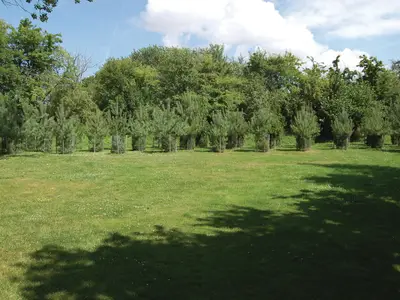 outside