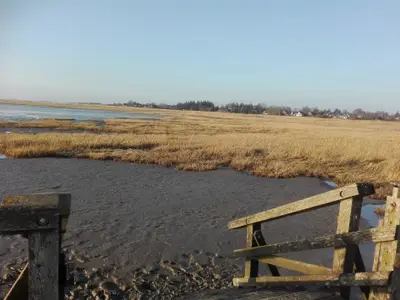 Ferienhaus für 4 Personen (140 m²) in Husum 3/10