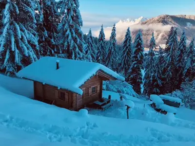 Ferienhaus für 6 Personen (45 m²) in Hüttau 1/10