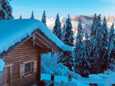 Ferienhaus für 6 Personen (45 m²) in Hüttau 2/10