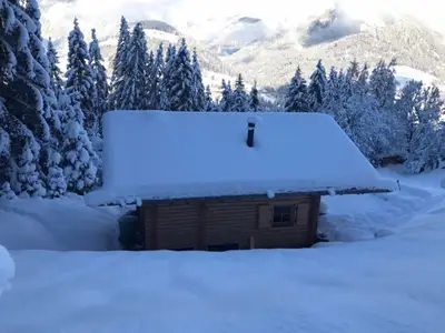 Ferienhaus für 6 Personen (45 m²) in Hüttau 4/10