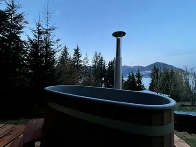 Ferienhaus für 6 Personen (45 m²) in Hüttau 6/10