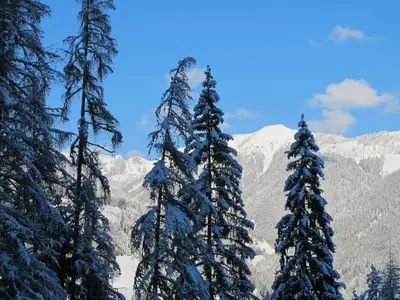 Ferienhaus für 6 Personen (45 m²) in Hüttau 9/10