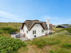 23863178-Ferienhaus-6-Hvide Sande-300x225-4