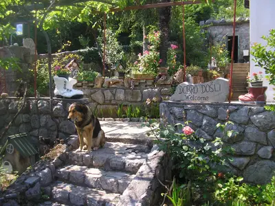 Ferienhaus für 5 Personen (55 m²) in Ičići 5/10