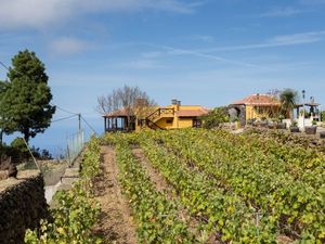 Ferienhaus für 4 Personen (70 m&sup2;) in Icod de los Vinos