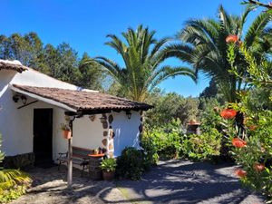 Ferienhaus für 4 Personen (70 m&sup2;) in Icod de los Vinos