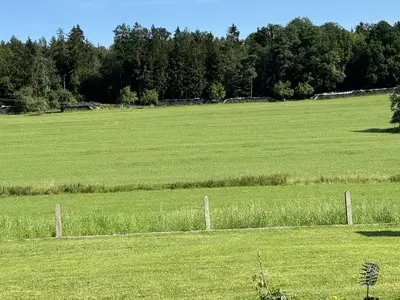 Landsschaft 1