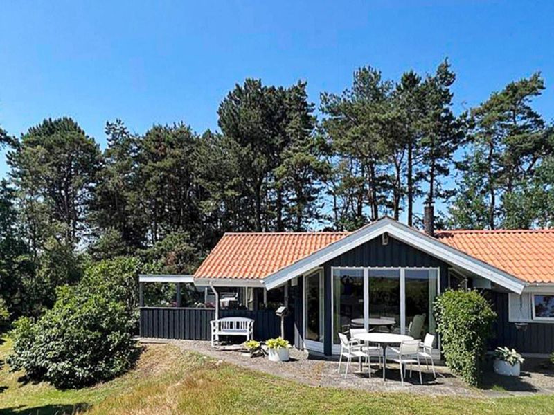 23355119-Ferienhaus-6-Idestrup-800x600-0