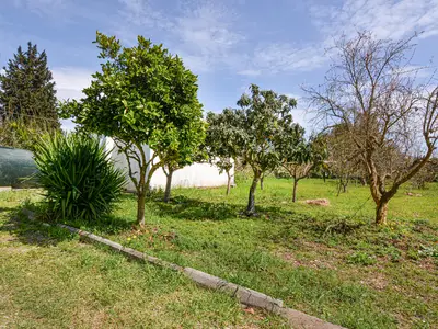 outside