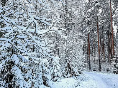 Ferienhaus für 16 Personen (200 m²) in Iitti 2/10
