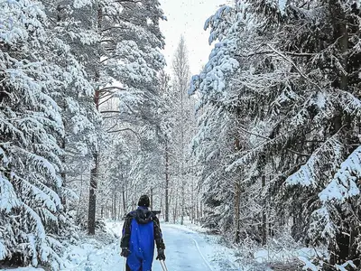 Ferienhaus für 16 Personen (200 m²) in Iitti 5/10