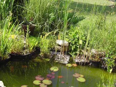 Garten