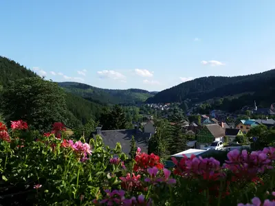Ausblick vom Ferienhaus