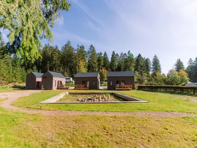 Wald-Tinys im Naturcamp Lenkgrund