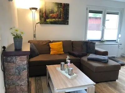 Ferienhaus für 4 Personen (50 m²) in Ilsenburg 4/10