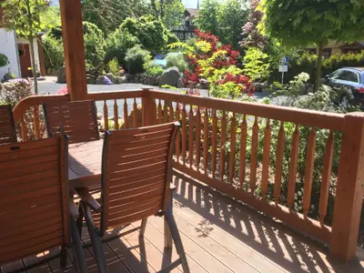 Ferienhaus für 4 Personen (90 m²) in Ilsenburg 9/10