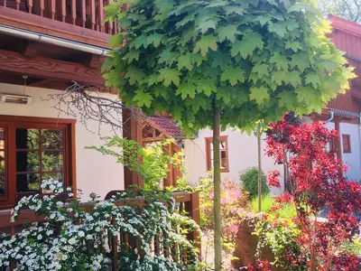 Ferienhaus für 4 Personen (90 m²) in Ilsenburg 10/10