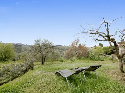 Privater Garten