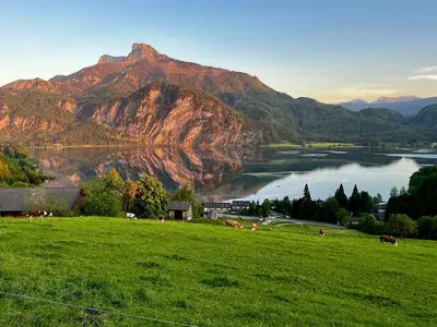 Ferienhaus für 1 Person (65 m²) in Innerschwand 2/10