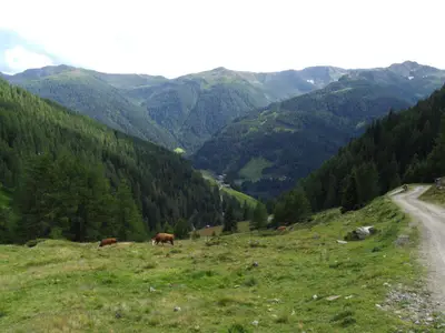 Blick auswärts