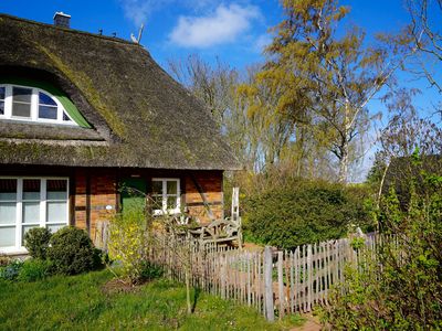 Ferienhaus für 7 Personen (120 m²) in Insel Poel 2/10