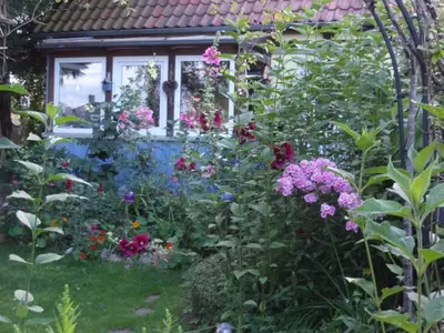 Ferienhaus für 2 Personen (67 m²) in Insel Poel 3/10