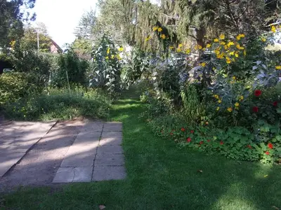 Ferienhaus für 2 Personen (67 m²) in Insel Poel 6/10