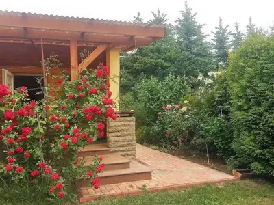 Ferienhaus für 3 Personen (40 m²) in Insel Poel 2/10